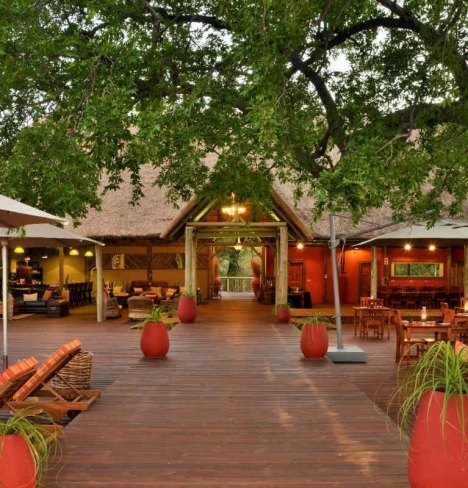 Jackalberry Chobe